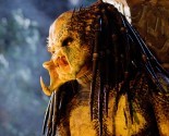 predatorsnew (20)